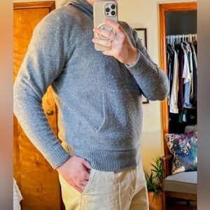 Everlane Felted Merino Hoodie in Gray